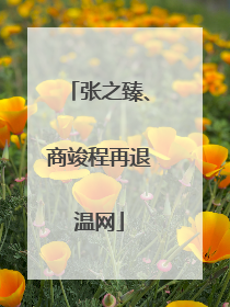张之臻、商竣程再退温网