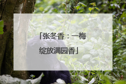 张冬香：一梅绽放满园香