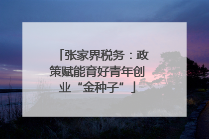 张家界税务：政策赋能育好青年创业“金种子”