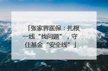 张家界医保：扎根一线“找问题”，守住基金“安全线”