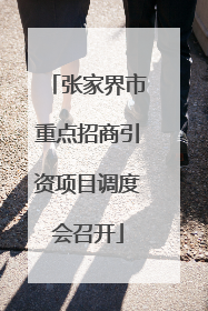 张家界市重点招商引资项目调度会召开