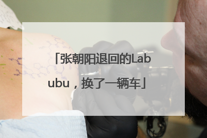 张朝阳退回的Labubu，换了一辆车