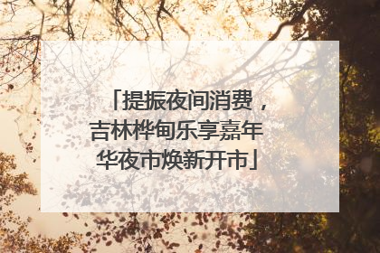 提振夜间消费，吉林桦甸乐享嘉年华夜市焕新开市