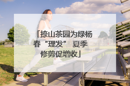 捺山茶园为绿杨春“理发” 夏季修剪促增收
