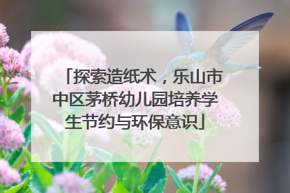 探索造纸术，乐山市中区茅桥幼儿园培养学生节约与环保意识