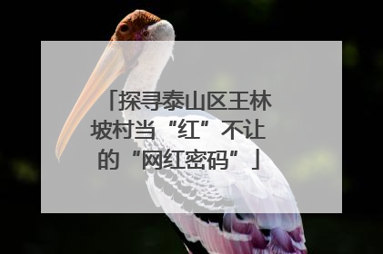 探寻泰山区王林坡村当“红”不让的“网红密码”