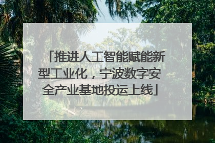 推进人工智能赋能新型工业化，宁波数字安全产业基地投运上线
