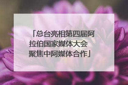 总台亮相第四届阿拉伯国家媒体大会 聚焦中阿媒体合作