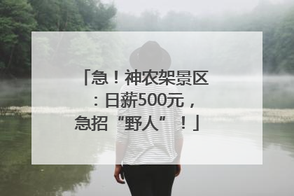 急！神农架景区：日薪500元，急招“野人”！