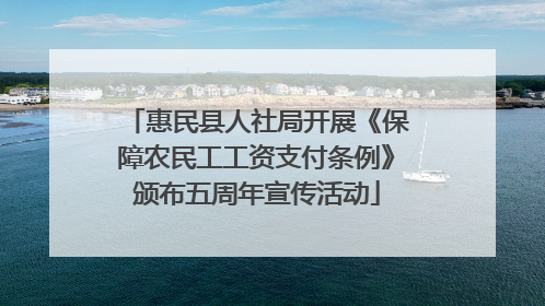 惠民县人社局开展《保障农民工工资支付条例》颁布五周年宣传活动