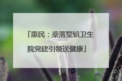 惠民：桑落墅镇卫生院党建引领送健康