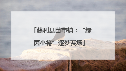 慈利县苗市镇：“绿茵小将”逐梦赛场