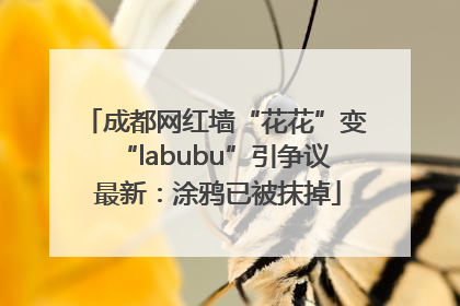 成都网红墙“花花”变“labubu”引争议 最新：涂鸦已被抹掉