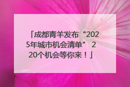 成都青羊发布“2025年城市机会清单” 220个机会等你来！