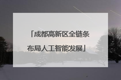 成都高新区全链条布局人工智能发展