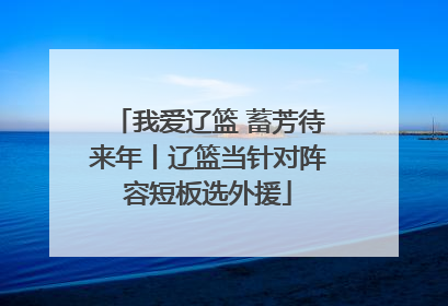我爱辽篮 蓄芳待来年丨辽篮当针对阵容短板选外援