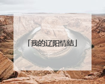 我的辽阳情结