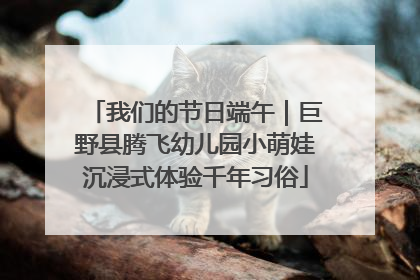 我们的节日端午｜巨野县腾飞幼儿园小萌娃沉浸式体验千年习俗
