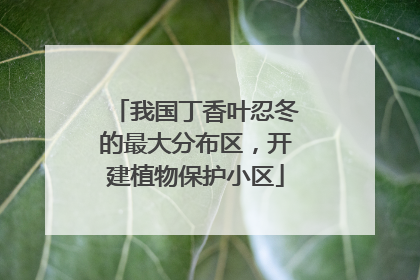 我国丁香叶忍冬的最大分布区，开建植物保护小区