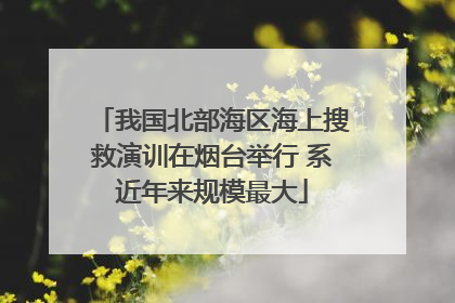 我国北部海区海上搜救演训在烟台举行 系近年来规模最大