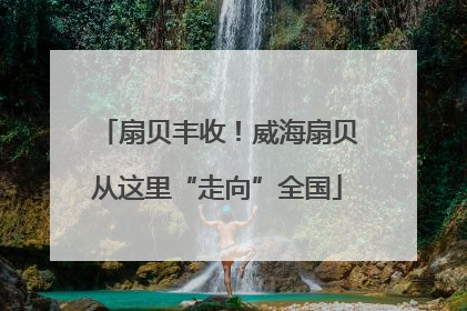 扇贝丰收！威海扇贝从这里“走向”全国