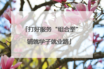 打好服务“组合拳” 铺就学子就业路