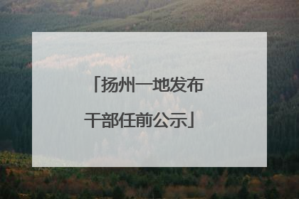 扬州一地发布干部任前公示
