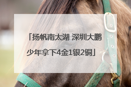 扬帆南太湖 深圳大鹏少年拿下4金1银2铜