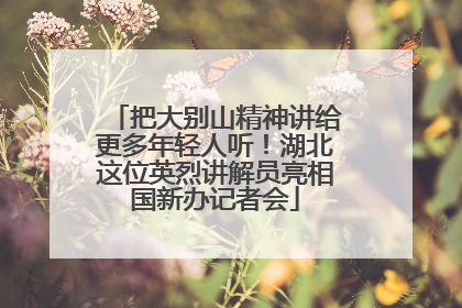 把大别山精神讲给更多年轻人听！湖北这位英烈讲解员亮相国新办记者会