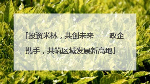 投资米林，共创未来——政企携手，共筑区域发展新高地