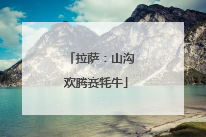 拉萨：山沟欢腾赛牦牛