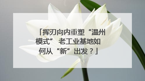 挥刃向内重塑“温州模式” 老工业基地如何从“新”出发？