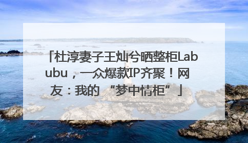 杜淳妻子王灿兮晒整柜Labubu，一众爆款IP齐聚！网友：我的 “梦中情柜”