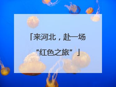 来河北，赴一场“红色之旅”