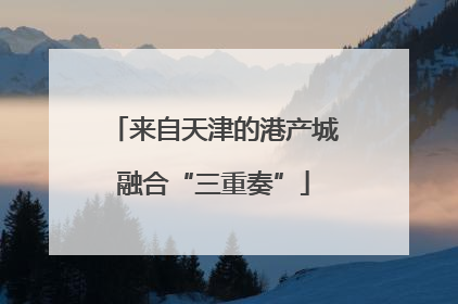 来自天津的港产城融合“三重奏”