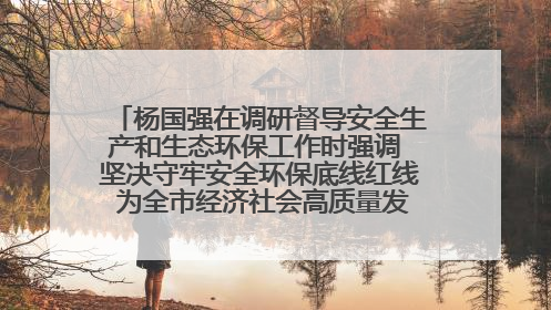 杨国强在调研督导安全生产和生态环保工作时强调 坚决守牢安全环保底线红线 为全市经济社会高质量发展提供坚强保障