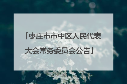 枣庄市市中区人民代表大会常务委员会公告