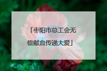 枣阳市总工会无偿献血传递大爱