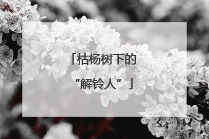 枯杨树下的“解铃人”
