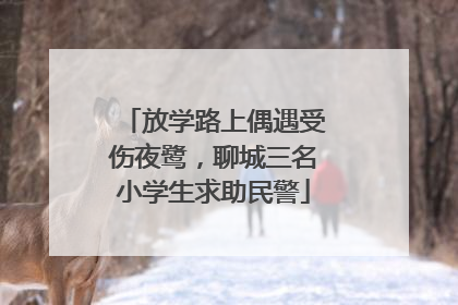 放学路上偶遇受伤夜鹭，聊城三名小学生求助民警