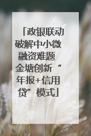 政银联动破解中小微融资难题 金塘创新“年报+信用贷”模式