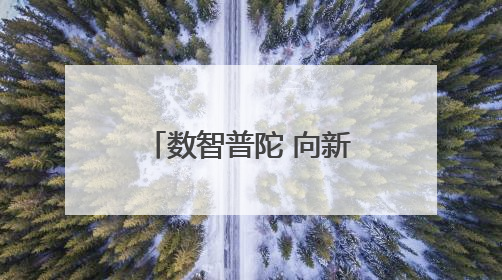 数智普陀 向新而行〡当社区治理遇上大模型，居民生活更便捷