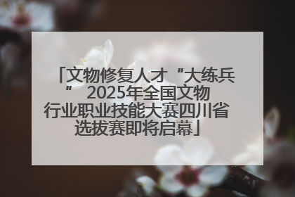 文物修复人才“大练兵” 2025年全国文物行业职业技能大赛四川省选拔赛即将启幕