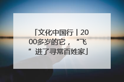 文化中国行丨2000多岁的它，“飞”进了寻常百姓家