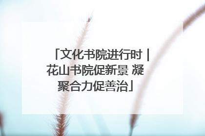 文化书院进行时｜花山书院促新景 凝聚合力促善治