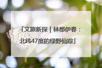 文旅新探｜林都伊春：北纬47度的绿野仙踪