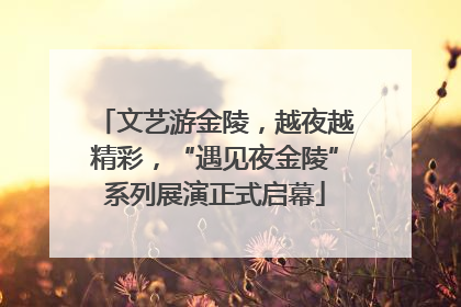 文艺游金陵，越夜越精彩，“遇见夜金陵”系列展演正式启幕