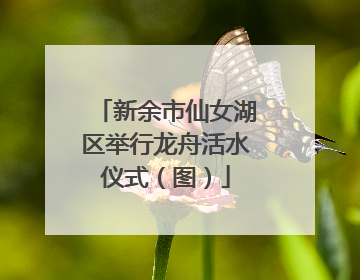 新余市仙女湖区举行龙舟活水仪式（图）