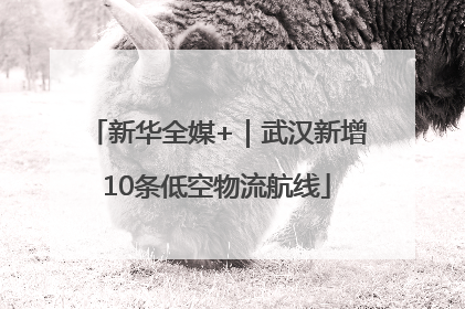 新华全媒+｜武汉新增10条低空物流航线