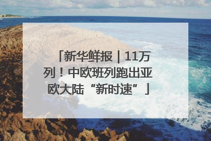 新华鲜报｜11万列！中欧班列跑出亚欧大陆“新时速”